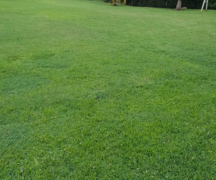 Jordan Gardens