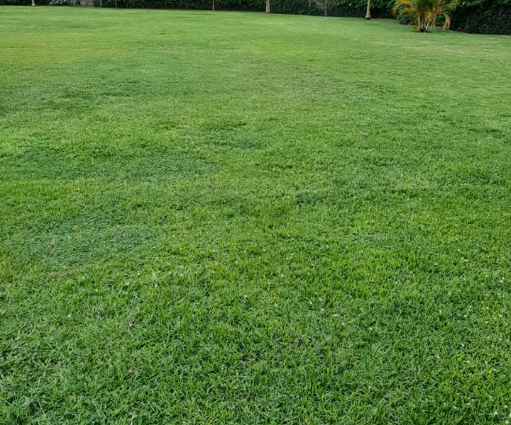Jordan Gardens