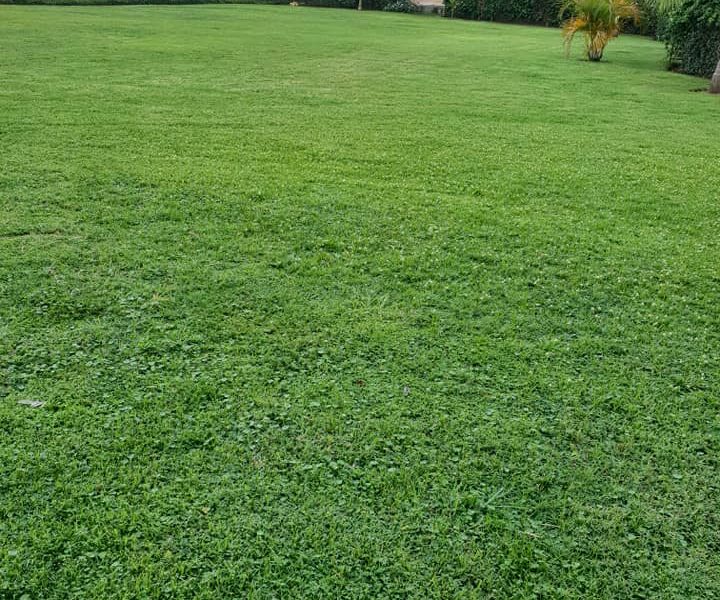 Jordan Gardens
