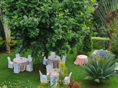sue gardens