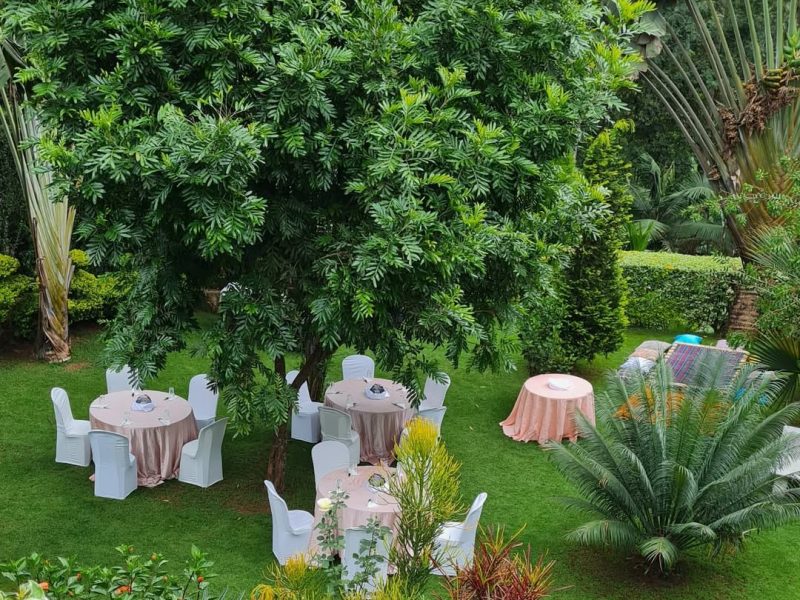 sue gardens