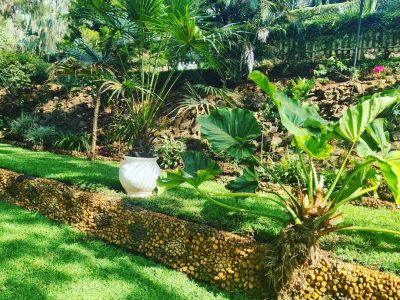 sue gardens