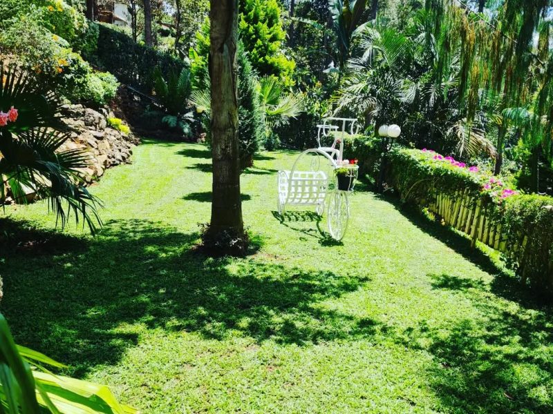sue gardens
