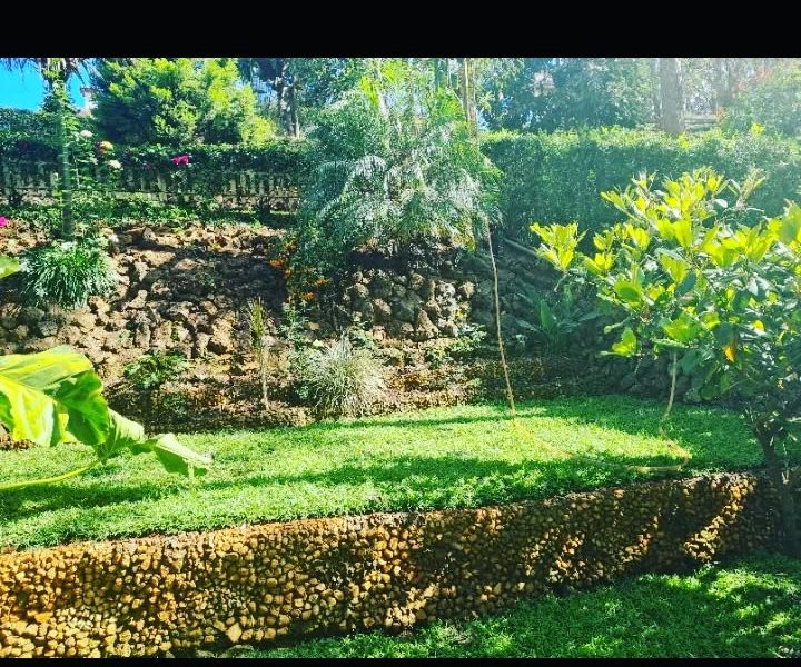 sue gardens