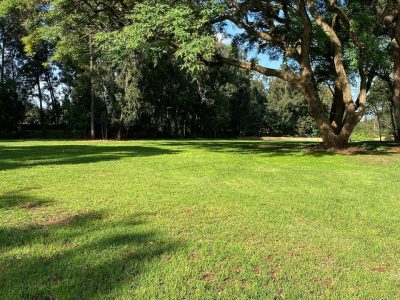 Hidden Gardens