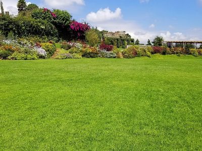 Enkishon Gardens