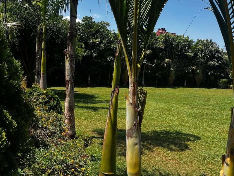 Sagret Gardens