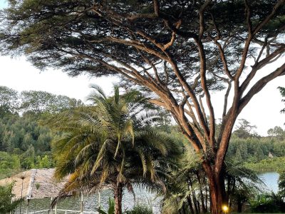 Lake House Tigoni