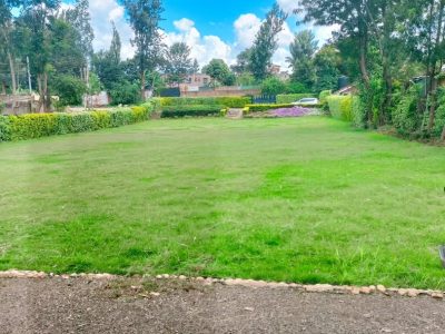 Sweet Memories Gardens