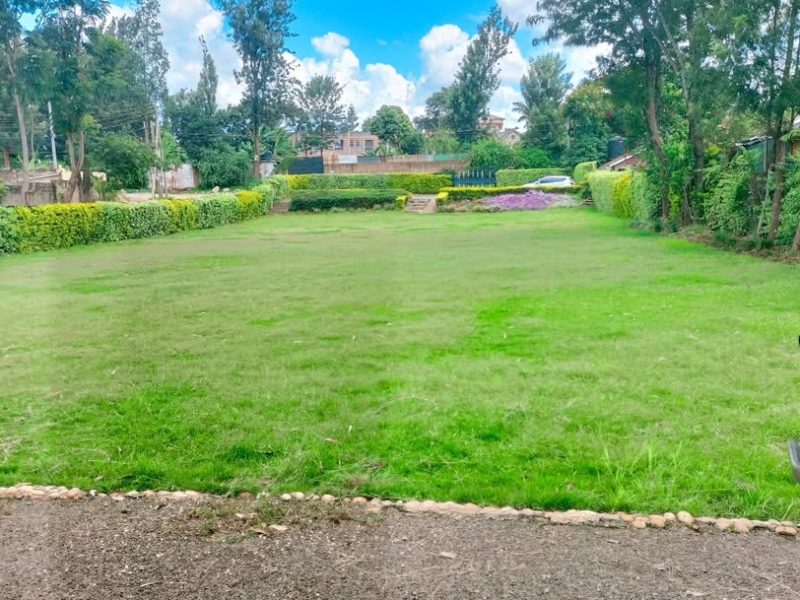 Sweet Memories Gardens