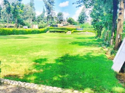 Sweet Memories Gardens