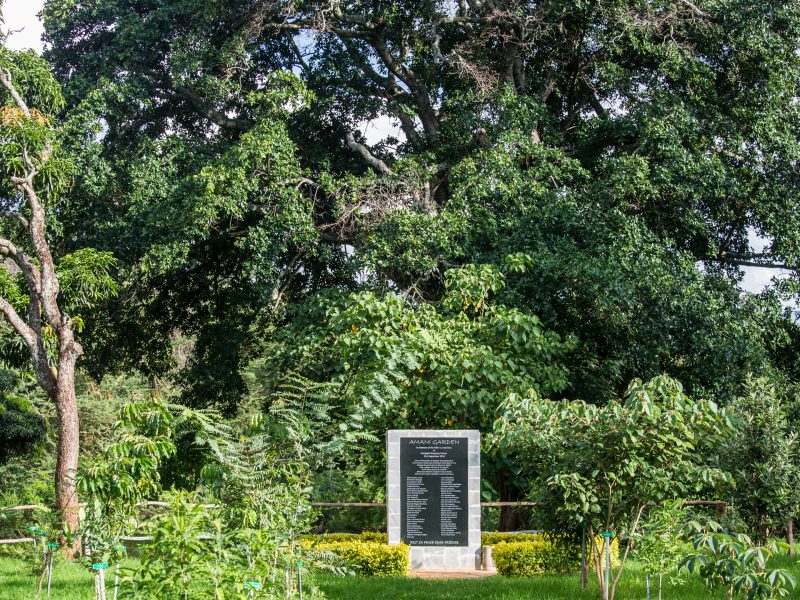 Karura Forest