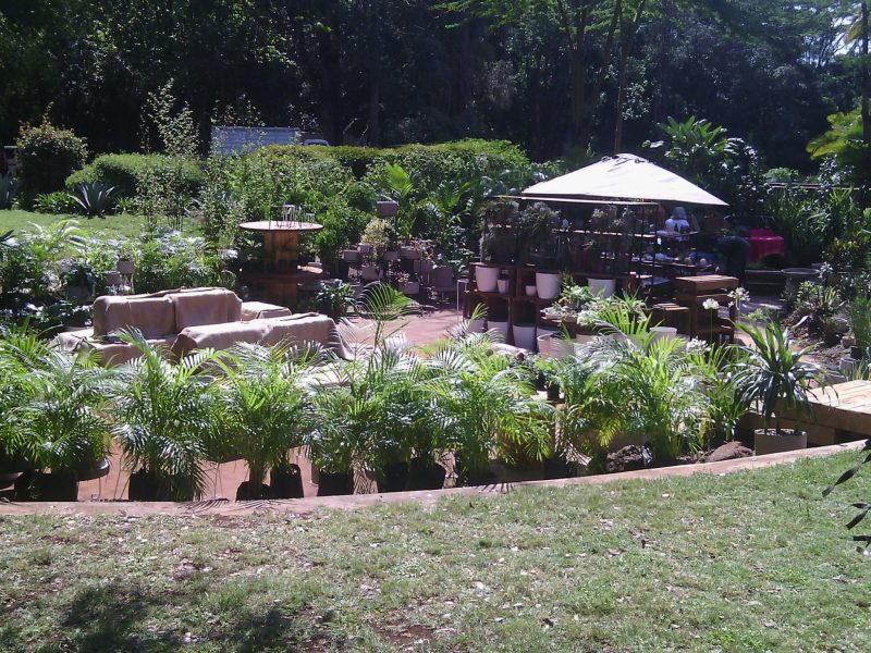 MARULA MANOR - THE ROYAL MANOR