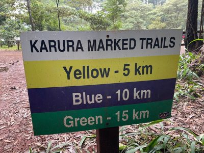 Karura Forest