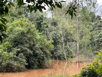 Karura Forest