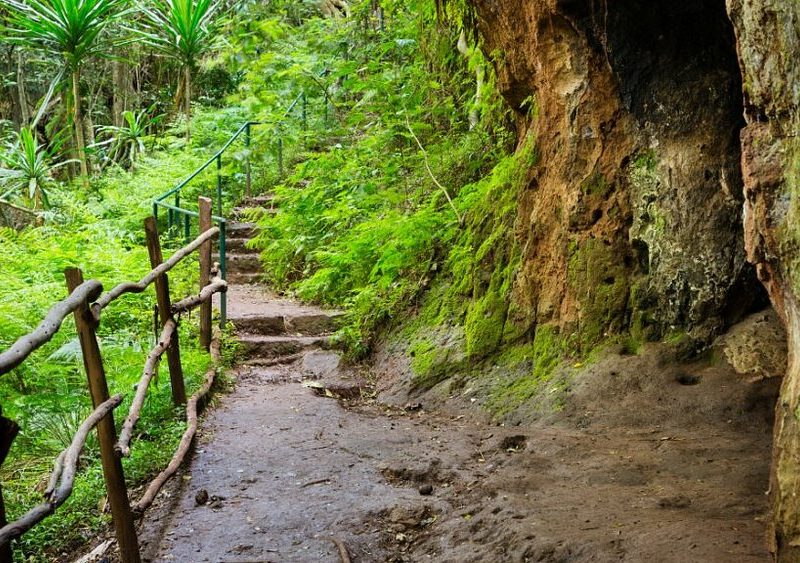 Karura Forest