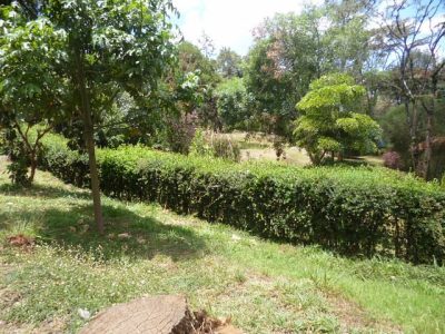 The Nairobi Arboretum