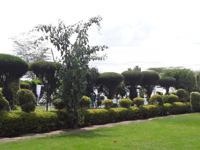 Maro Gardens