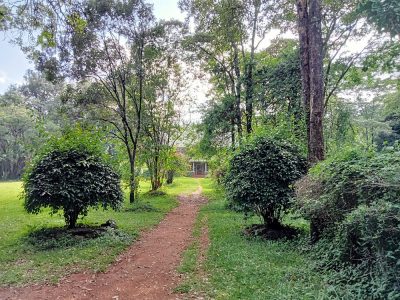 The Nairobi Arboretum