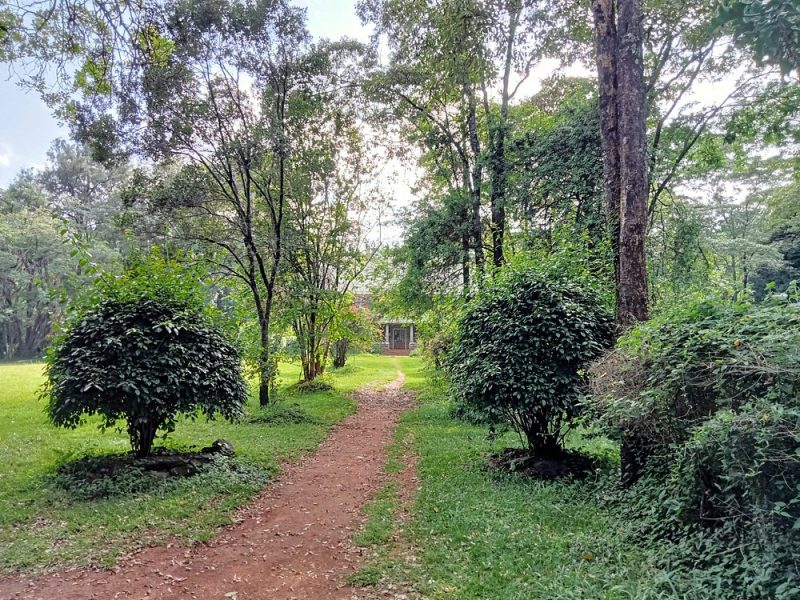 The Nairobi Arboretum
