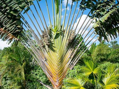Riverline Gardens