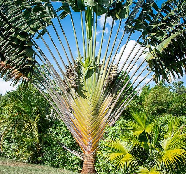 Riverline Gardens