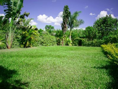 Riverline Gardens