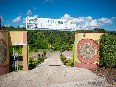 Riverline Gardens
