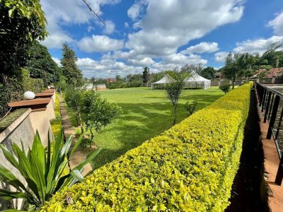 DNM Events Park