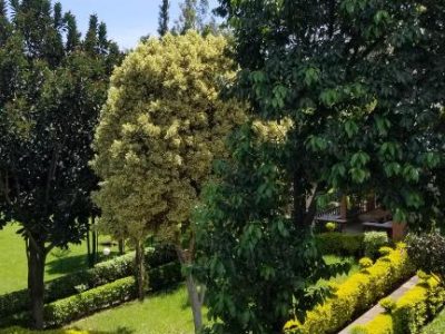 Mataman Gardens