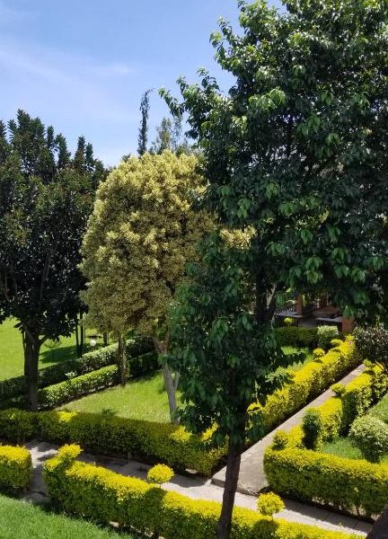 Mataman Gardens