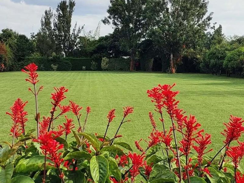 Imani Park Gardens Ruiru