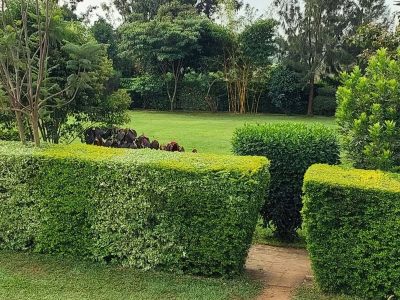 Imani Park Gardens Ruiru