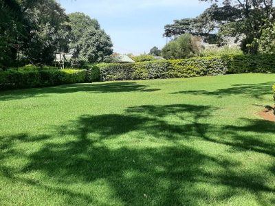 Bethany Gardens
