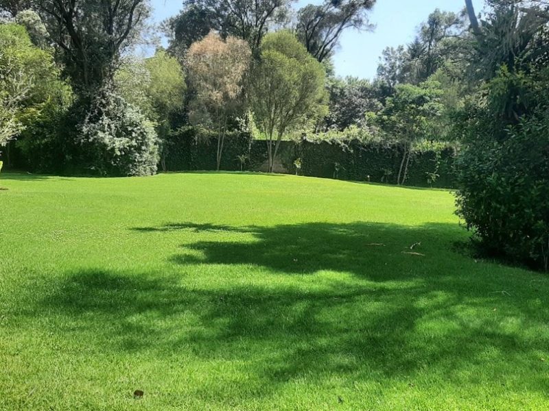 Bethany Gardens
