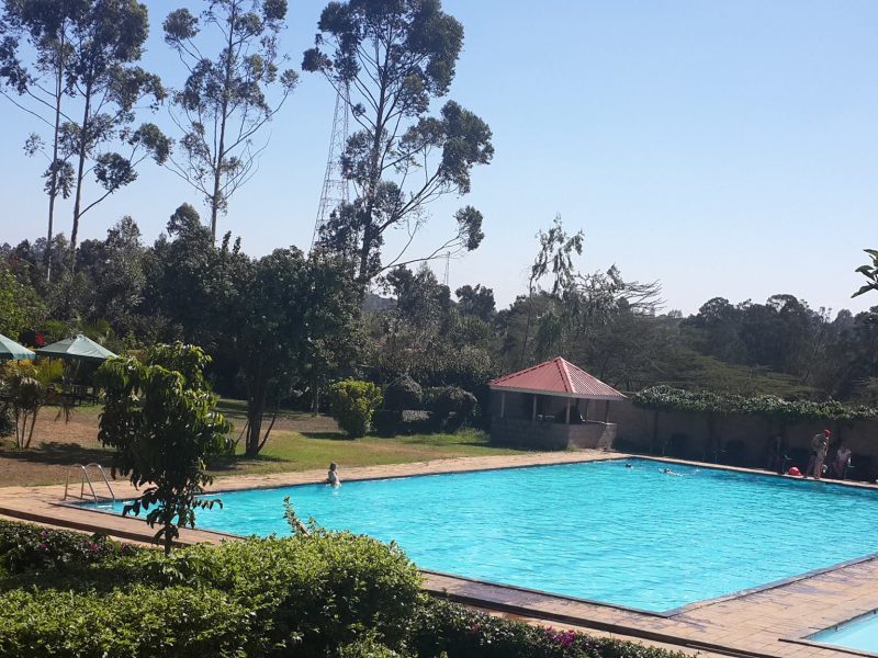 Natare Gardens