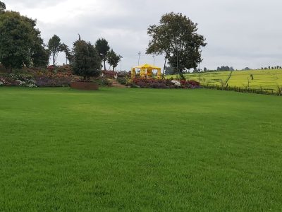 Camellia Gardens Limuru