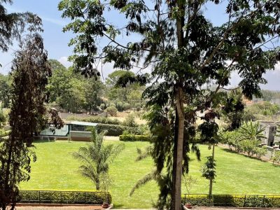 DNM Events Park