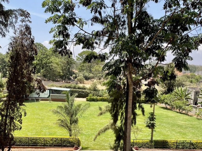 DNM Events Park