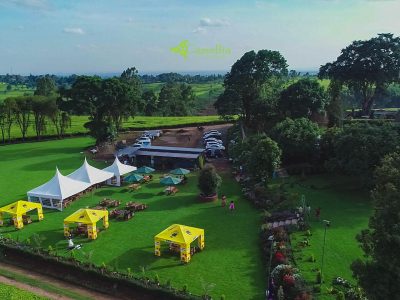 Camellia Gardens Limuru