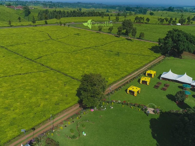 Camellia Gardens Limuru