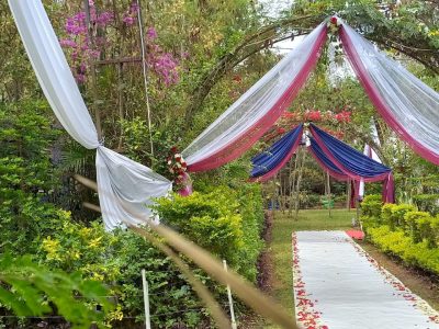 Simba Gardens