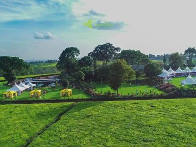 Camellia Gardens Limuru