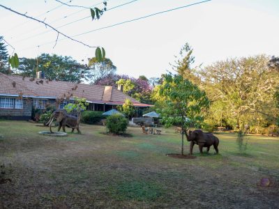 Monarch Garden Eldoret