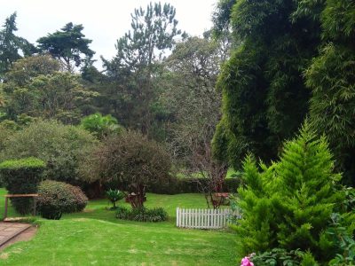 Thayu Farm Hotel