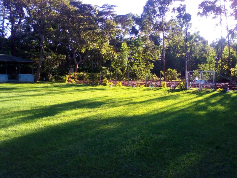 Ridgeways Pine Creek Gardens
