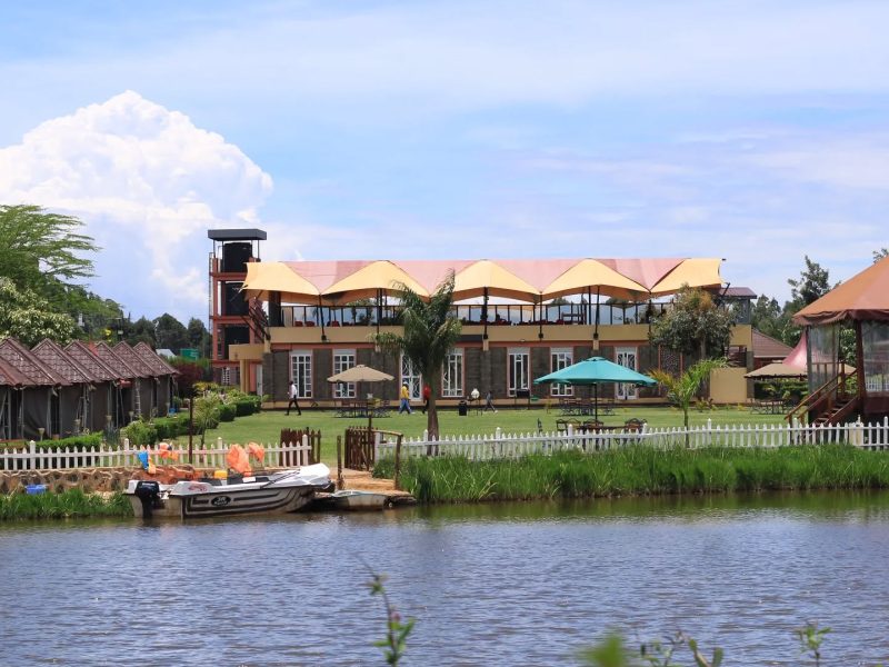 The Lobo Village
