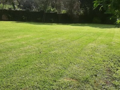 Bethany Gardens