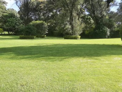 Bethany Gardens