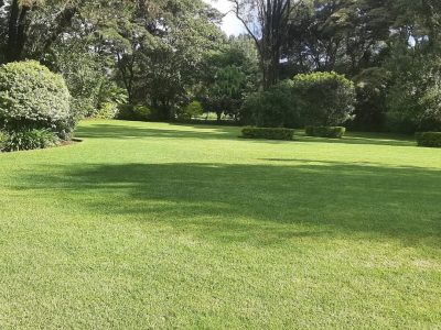 Bethany Gardens